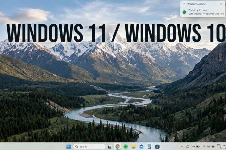 Windows 10/11