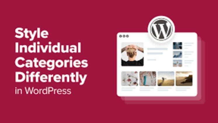 WordPress Categories Setup
